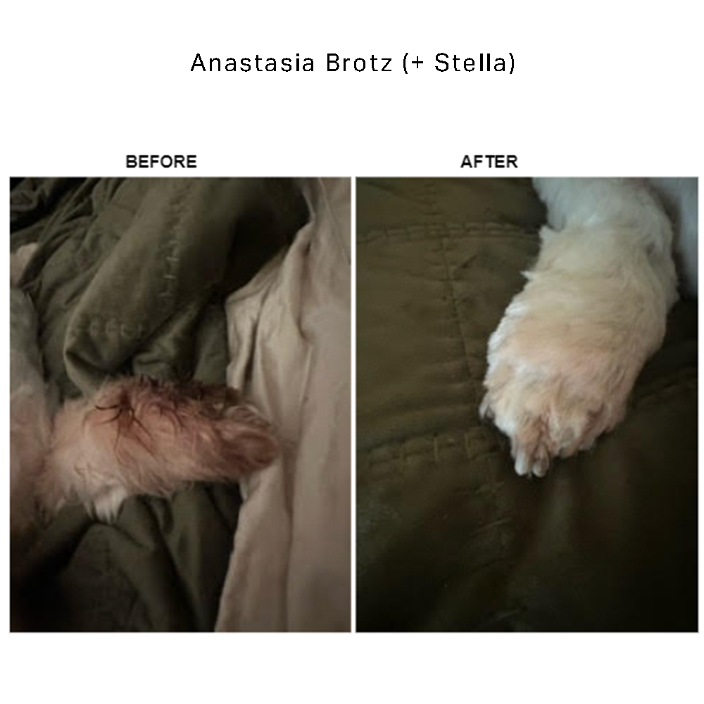Dog skin before and after using BetterWild allergy chews - example 2